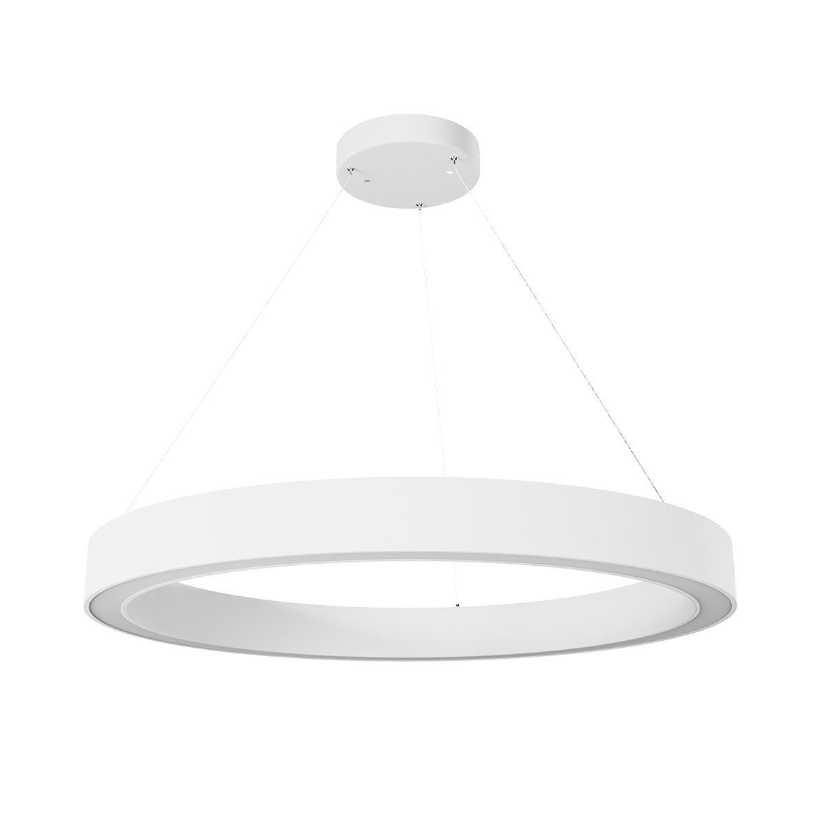 1641801045_Pendel Bilog R800 OP SCCT dim C w-m_Vorderseite